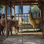 Gospodarstwo agroturystyczne Corte Benetti