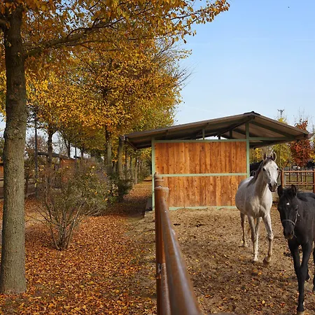 Gospodarstwo agroturystyczne Corte Benetti *
